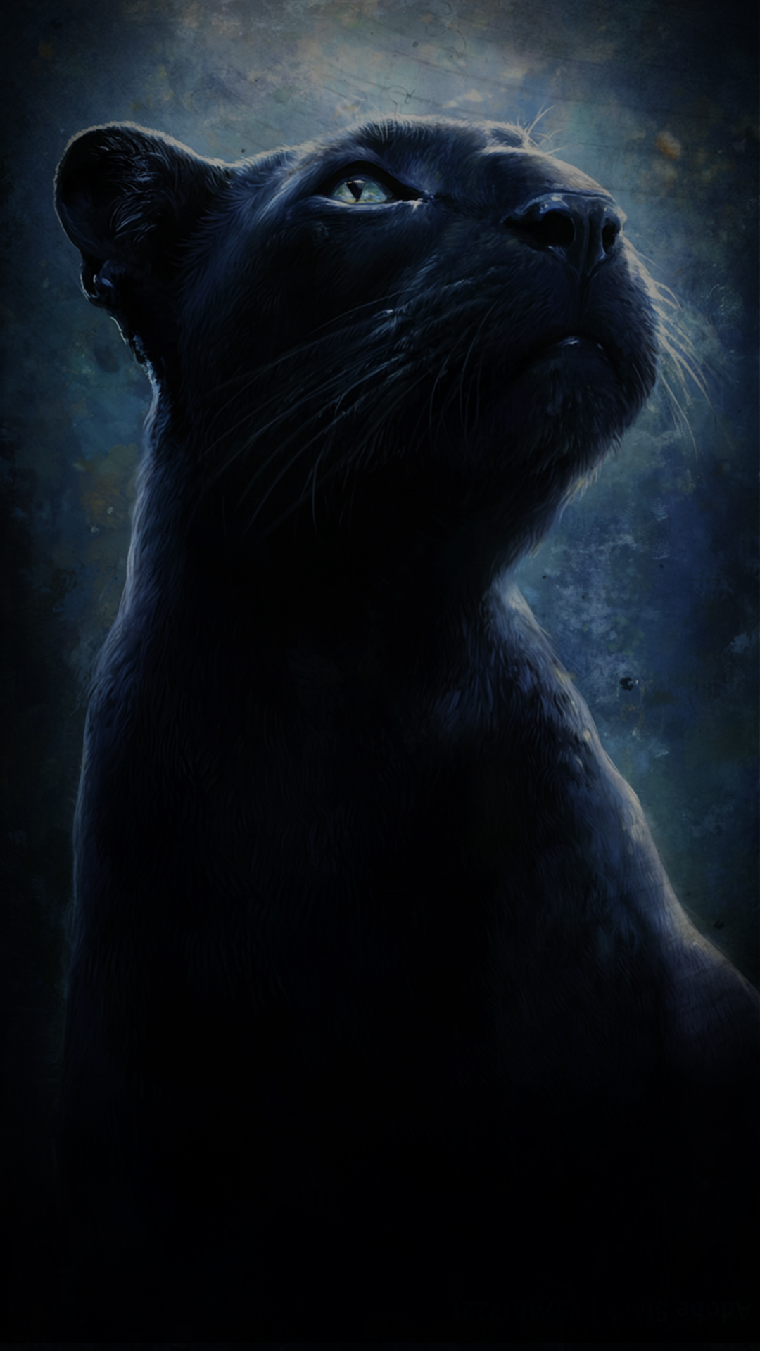 Direction Artistique